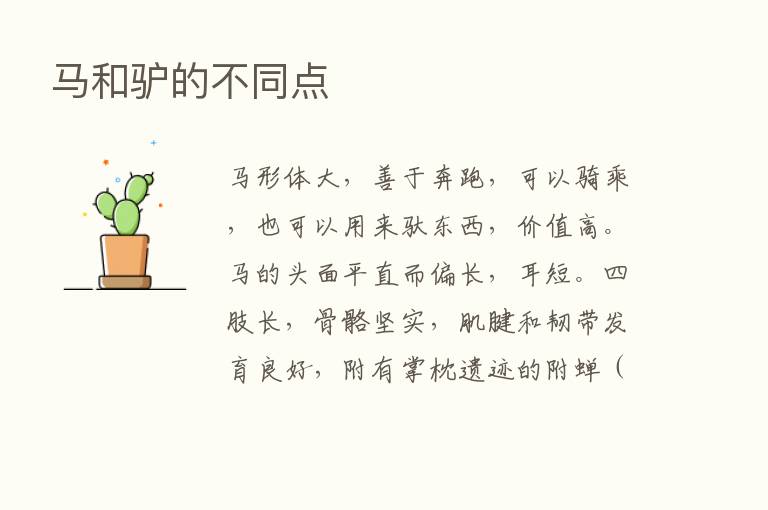 马和驴的不同点