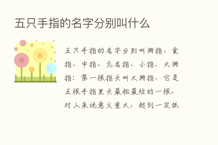 五只手指的名字分别叫什么