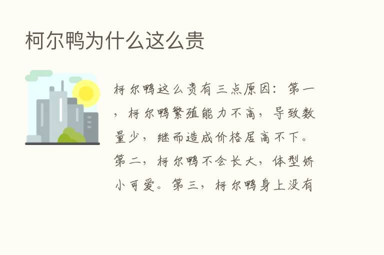 柯尔鸭为什么这么贵