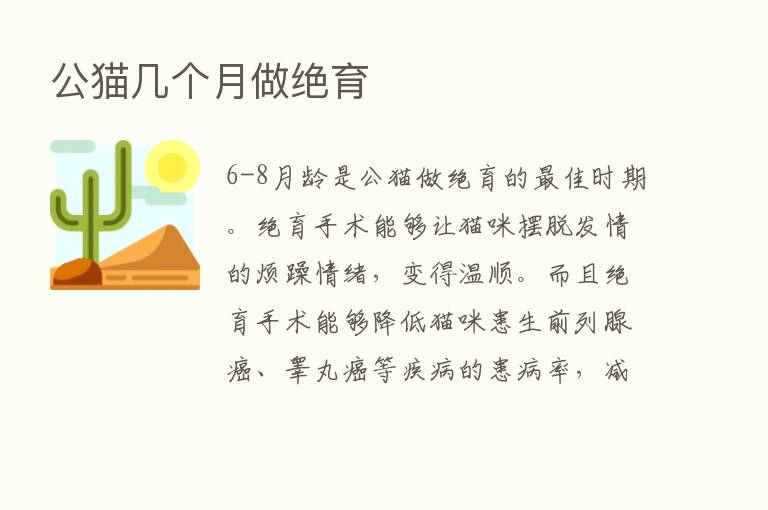 公猫几个月做绝育