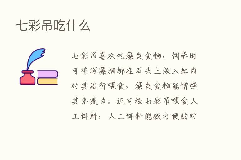 七彩吊吃什么