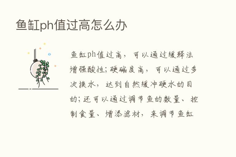 鱼缸ph值过高怎么办