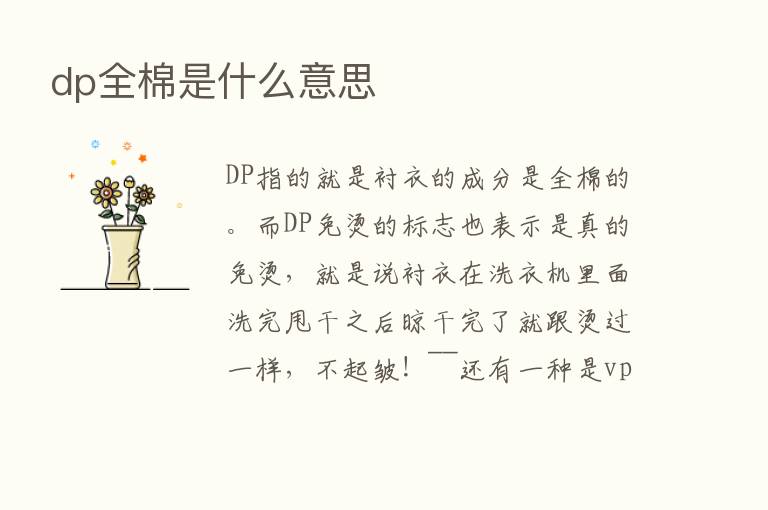 dp全棉是什么意思