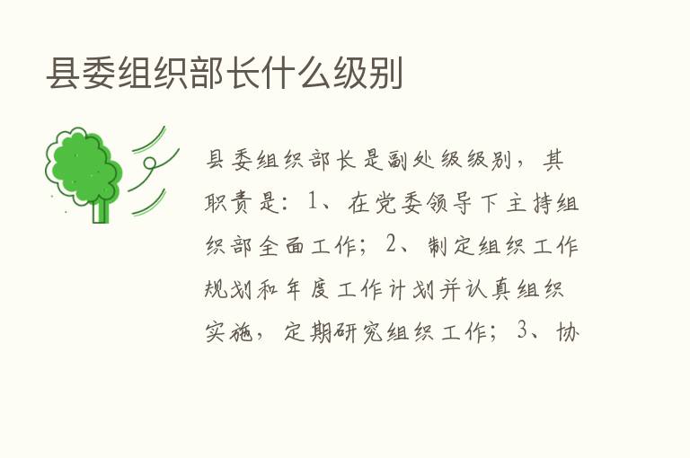 县委组织部长什么级别