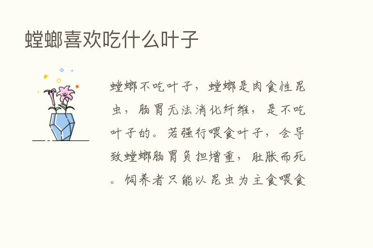 螳螂喜欢吃什么叶子