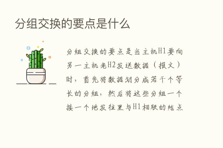 分组交换的要点是什么