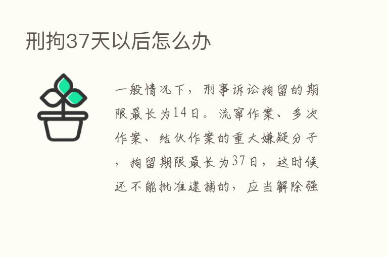 刑拘37天以后怎么办