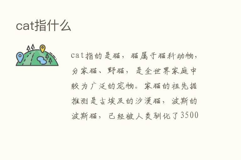 cat指什么