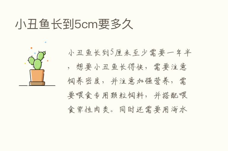 小丑鱼长到5cm要多久