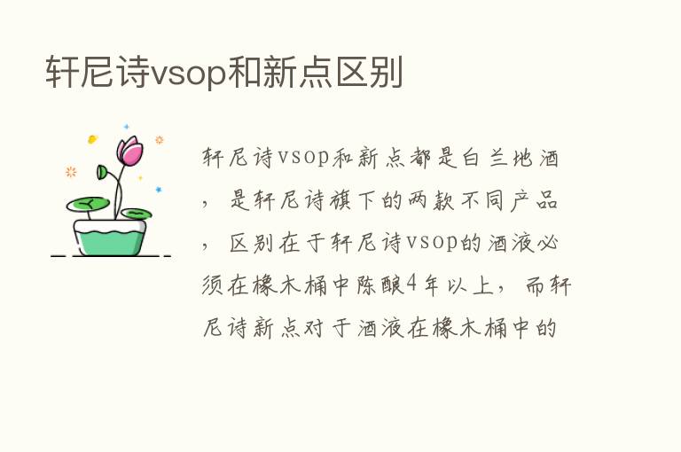 轩尼诗vsop和新点区别