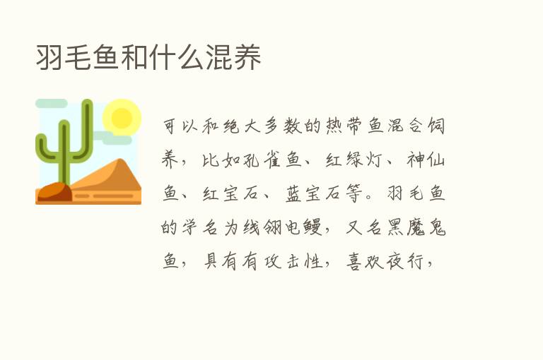 羽毛鱼和什么混养