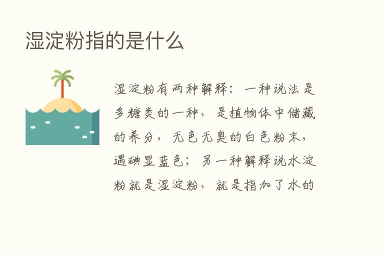 湿淀粉指的是什么