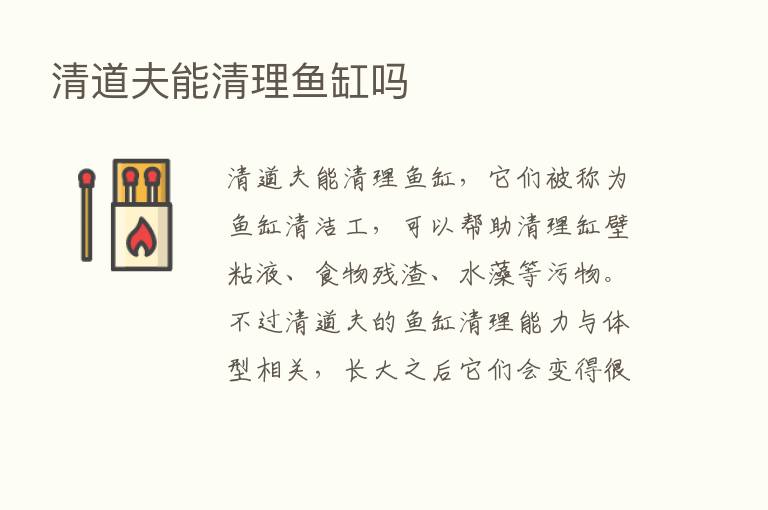 清道夫能清理鱼缸吗