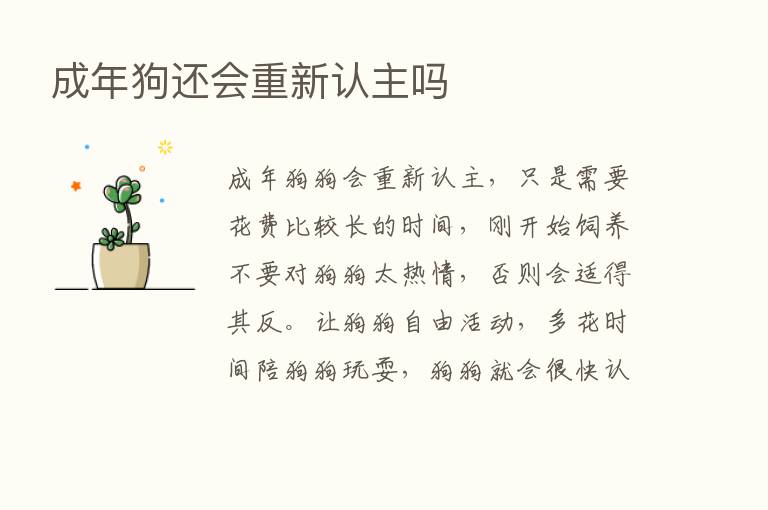 成年狗还会重新认主吗