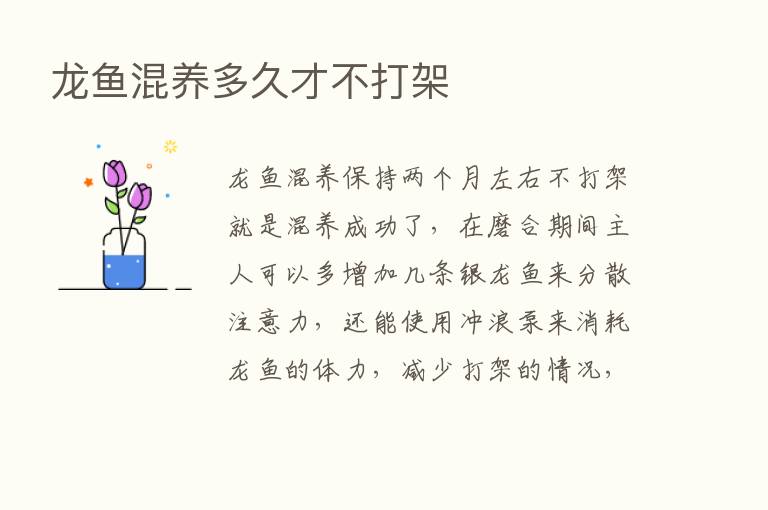 龙鱼混养多久才不打架