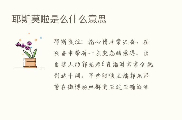 耶斯莫啦是么什么意思