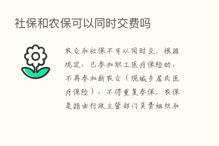 社保和农保可以同时交费吗