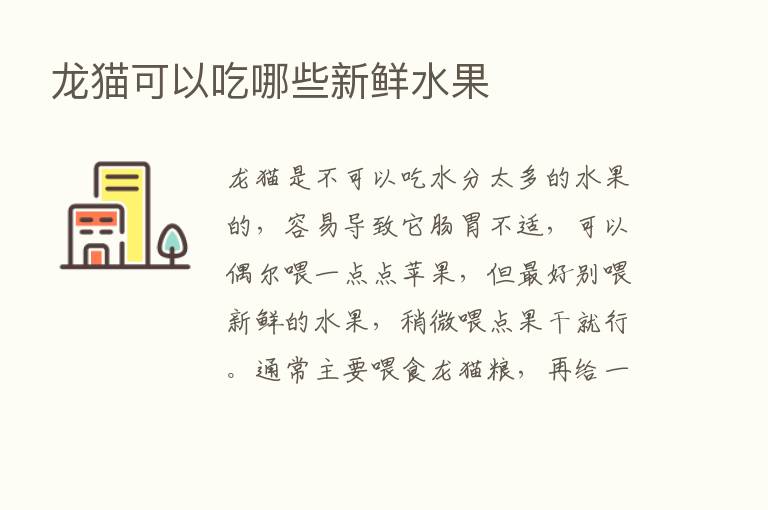 龙猫可以吃哪些新鲜水果