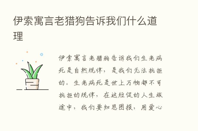 伊索寓言老猎狗告诉我们什么道理