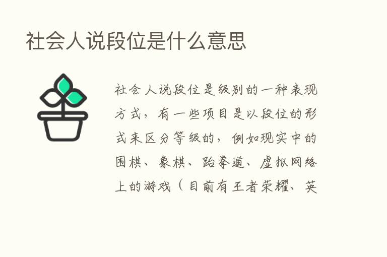 社会人说段位是什么意思