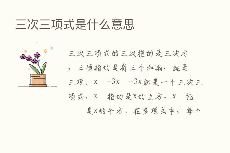 三次三项式是什么意思