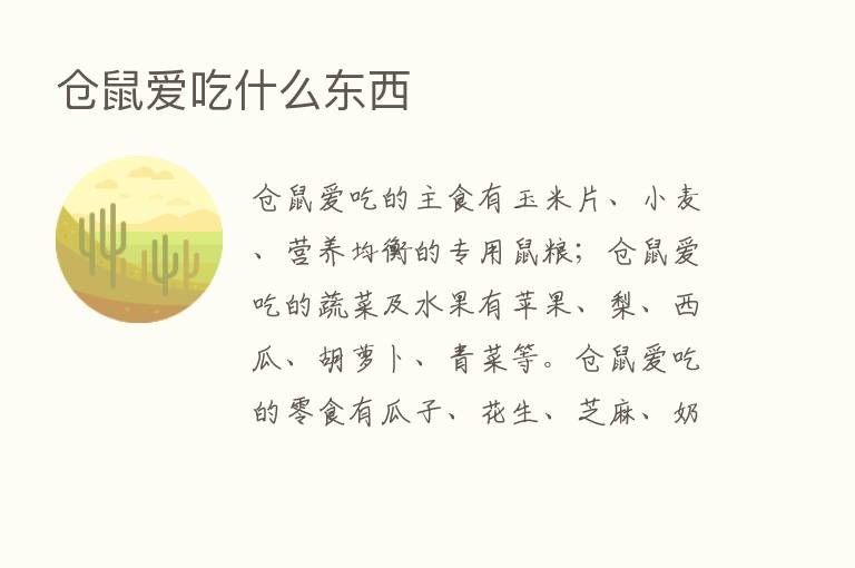 仓鼠爱吃什么东西