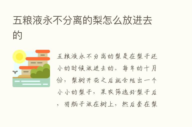 五粮液永不分离的梨怎么放进去的