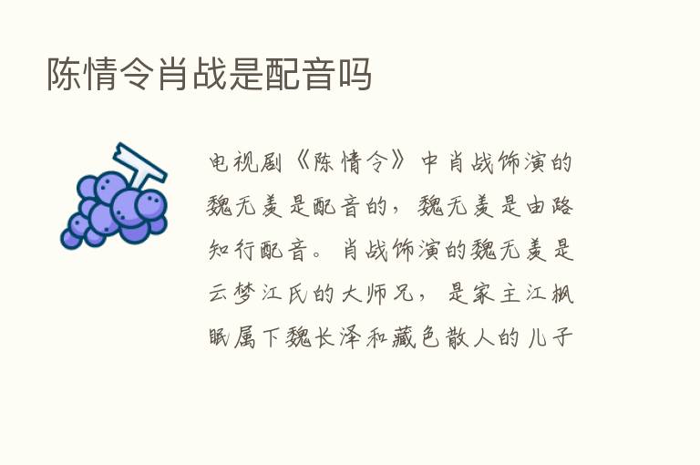 陈情令肖战是配音吗