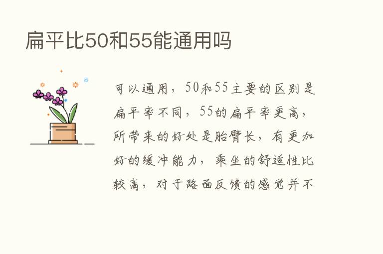 扁平比50和55能通用吗