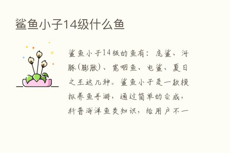 鲨鱼小子14级什么鱼