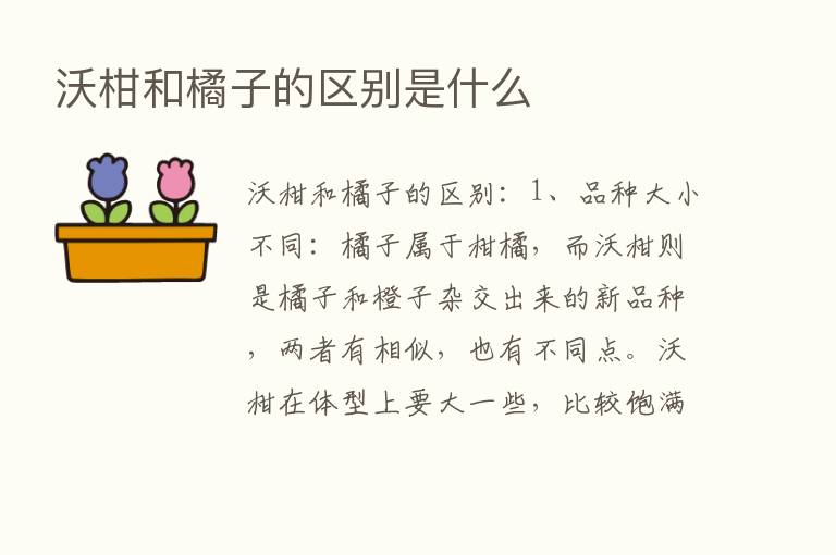 沃柑和橘子的区别是什么