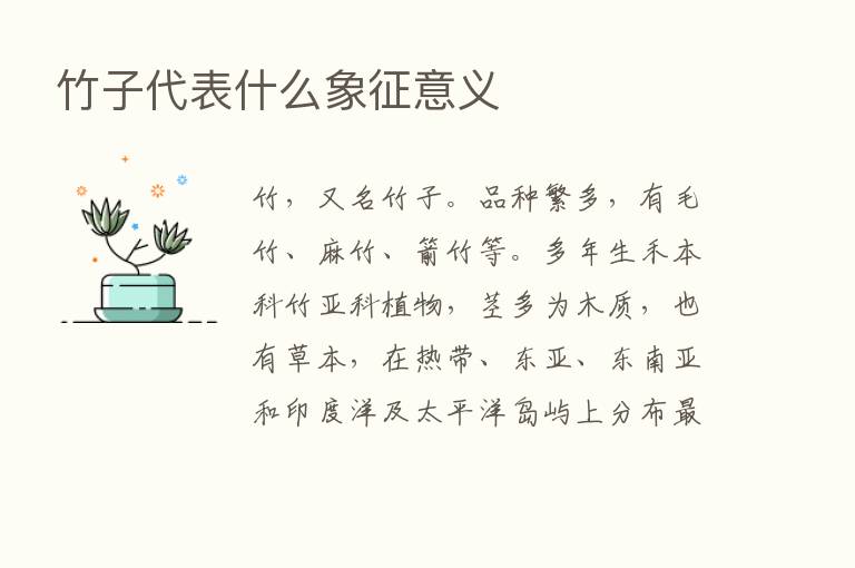 竹子代表什么象征意义