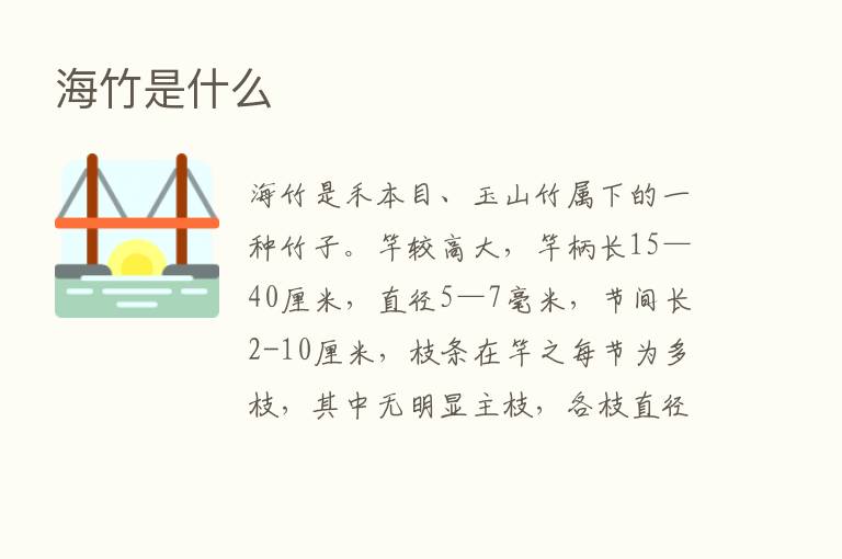 海竹是什么