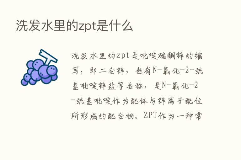 洗发水里的zpt是什么