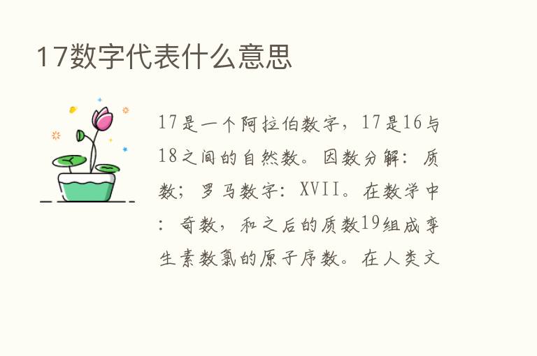 17数字代表什么意思