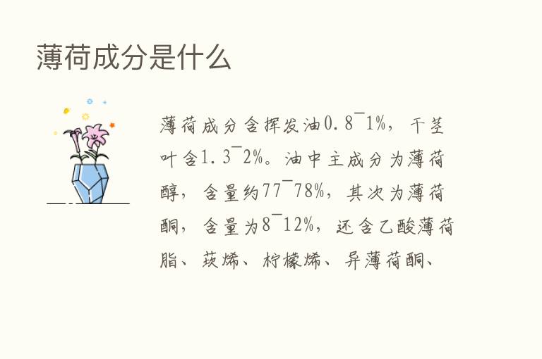 薄荷成分是什么