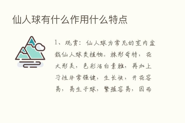 仙人球有什么作用什么特点