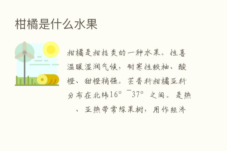 柑橘是什么水果