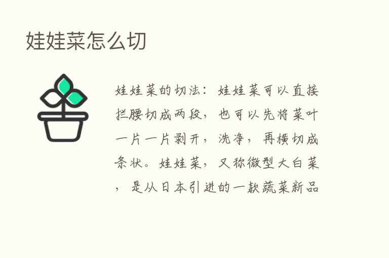 娃娃菜怎么切