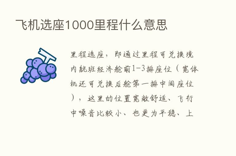 飞机选座1000里程什么意思