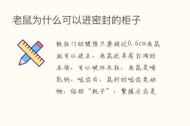 老鼠为什么可以进密封的柜子