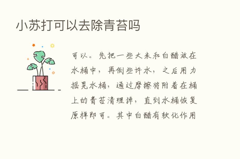 小苏打可以去除青苔吗