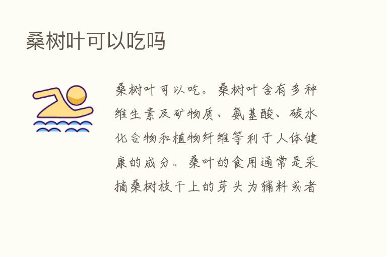 桑树叶可以吃吗