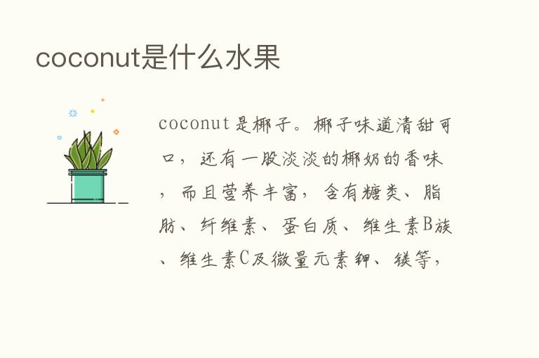 coconut是什么水果