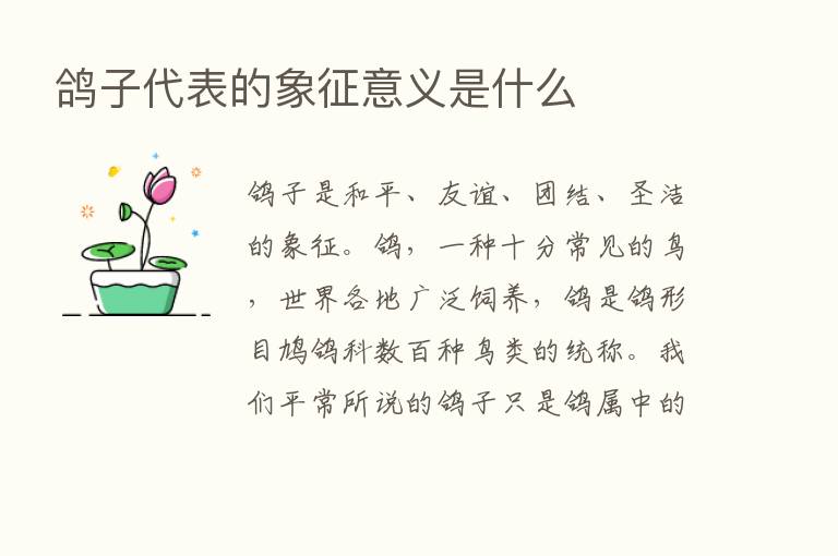 鸽子代表的象征意义是什么