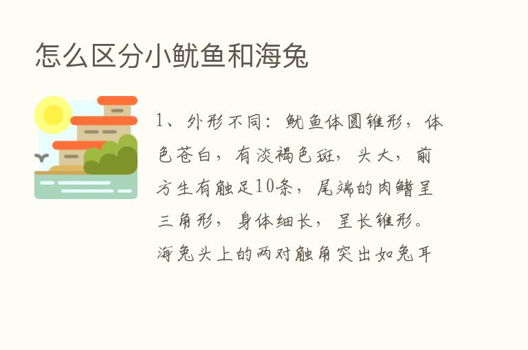 怎么区分小鱿鱼和海兔