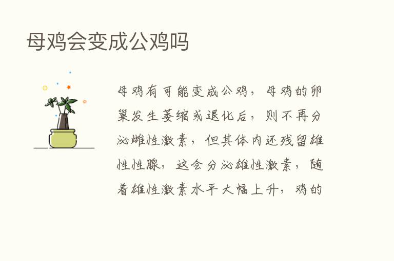 母鸡会变成公鸡吗