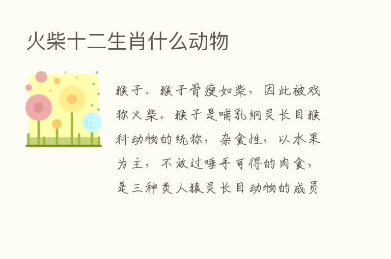 火柴十二生肖什么动物