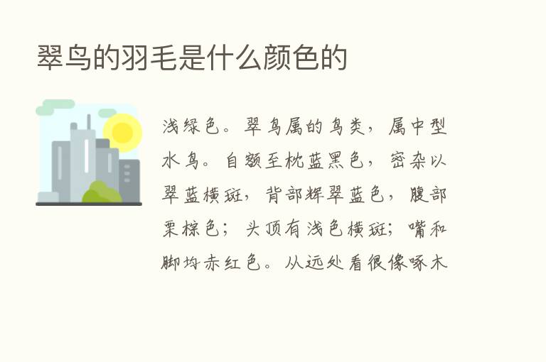 翠鸟的羽毛是什么颜色的