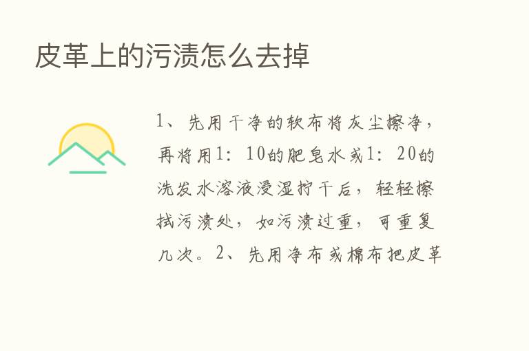 皮革上的污渍怎么去掉